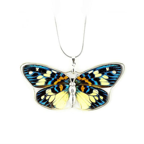 Real Incased Butterfly Necklaces (5 Types): Holly Blue, Monarch, Blue Swallowtail, Beautiful Erasmia & Red Ring Skirt
