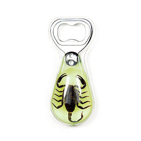 Real Insect Bottle Openers: Scorpions and Green Chafer Beetles