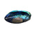 close up of abalone smudge dish