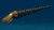 Orthoceras 3D Rendering