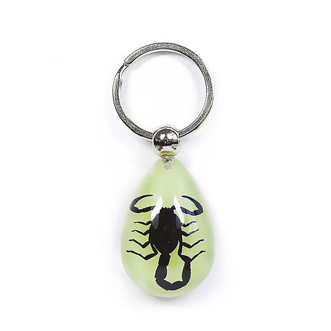 Real Insect Keychains: Scorpions and Green Chafer Beetles