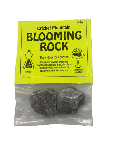 Blooming Rock Garden, Limestone Crystalizing Rock.