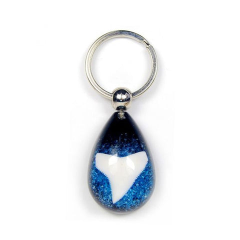 Real Shark Tooth Keychains: Blue, Green, Purple and Red
