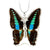 Real Incased Butterfly Necklaces (5 Types): Holly Blue, Monarch, Blue Swallowtail, Beautiful Erasmia & Red Ring Skirt