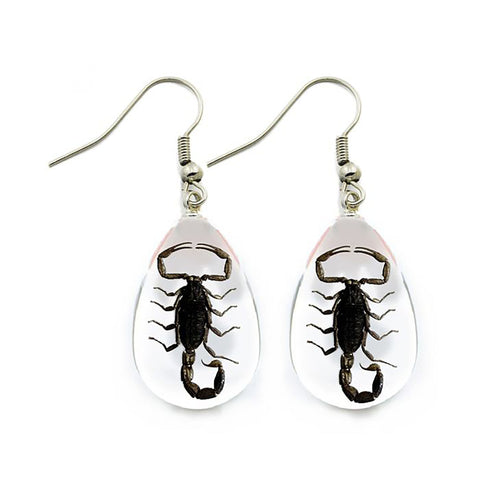 Real Black Scorpion Earrings: Clear and Glow In The Dark