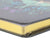 Luna Moth Lined Journal, Notebook.