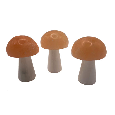 Carved Selenite Mushroom - Choose Peach & White or plain white