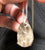 Petoskey Stone Pendant, medium size