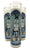 Saint Amon-Ra Prayer Candle. Lions Fan Celebrity Saint Votive Candle, by Well Done Goods
