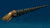 Orthoceras 3D Rendering