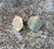 Abalone Stud Earrings, mother of pearl hexagon studs