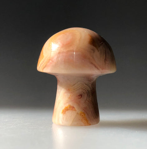 Mushroom Carved Stones, mini and medium size