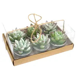 Agave or Monk Cactus Tealight, 1 Tealight.