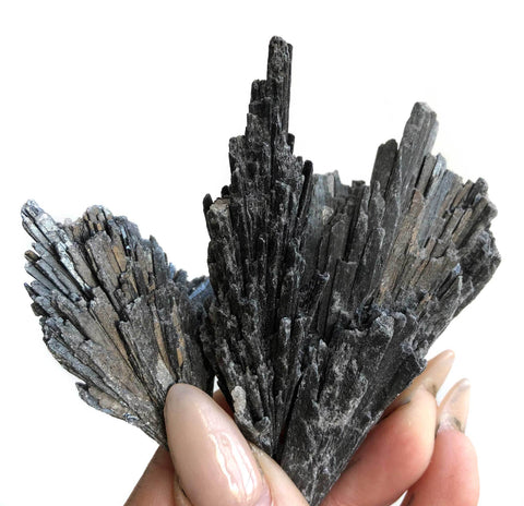 Black Kyanite Fans