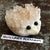 Hedgehog Sculptures. Hand Carved Quartz Crystal Hedgehogs