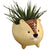 Cute Beaver Ceramic Planter