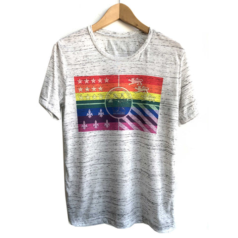 Detroit PRIDE Flag T-Shirt. City rainbow flag, unisex crew neck tee