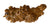 Coprolite: Medium Fossilized Turtle Poop, Well Done Goods