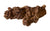 Coprolite: Small Fossilized Turtle Poop, Well Done Goods