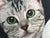 Kitty Panties, Pussy Cat Underwear, by Well Done Goods