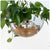 Hanging Disco Ball Planters