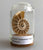 Ammonite Fossil Half, Tiny Glass Dome