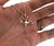Neuron Nerve Cell Silver Pendant Necklace, Axon and Dendrite, Well Done Goods