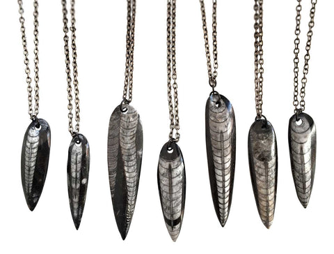 Orthoceras Fossil Pendants, Black Marble, by Well Done Goods