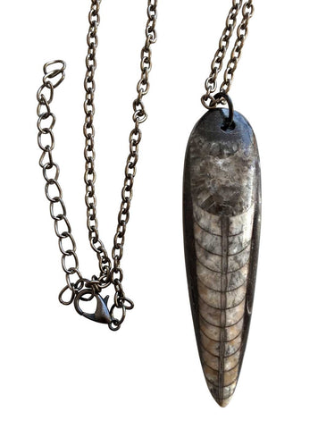 Orthoceras Fossil Pendant, Small Black Marble Necklace, by Well Done Goods