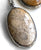 Agatized Coral Pendants, Medium Oval