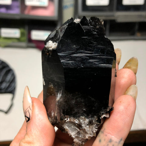 Smoky Quartz Crystals, Arkansas
