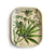 Natural History Metal Trinket Dishes, Rolling Trays, by Curious Prints - Choose From 6 Designs!
