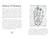 Palmistry, The Practice of Hand Reading, by Johnny Fincham