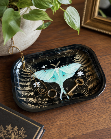 A decorative black tray with a gold-toned fairy design and a large light blue luna moth, styled on a wooden table with jewelry and a plant.