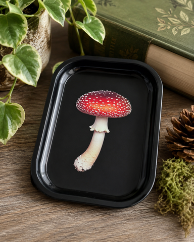 Amanita Mushroom Metal Trinket Tray, Catch-All