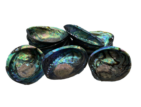 abalone smudge dishes