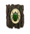 Real Insect Magnets on Realistic Background