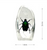 Real Insect Desktop Decoration