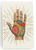 Phrenology and Palmistry Notebooks - choose from 4 styles