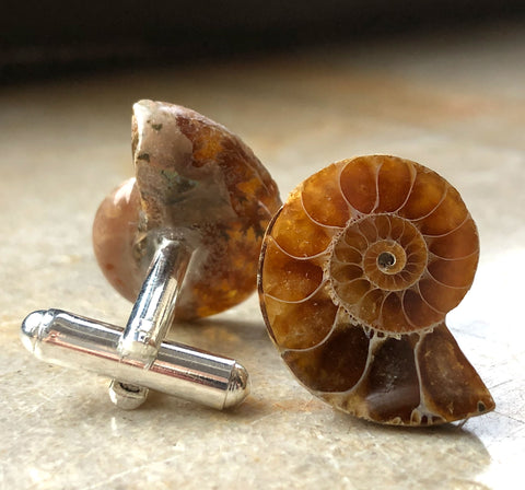 Classic Ammonite Fossil Cufflinks