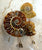 Ammonite Lapel Pin, Fossil Stone Brooch. Stick Pin, Hat Pin, Alternative Boutonniere