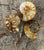 Ammonite Lapel Pin, Fossil Stone Brooch. Stick Pin, Hat Pin, Alternative Boutonniere