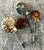 Ammonite Lapel Pin, Fossil Stone Brooch. Stick Pin, Hat Pin, Alternative Boutonniere