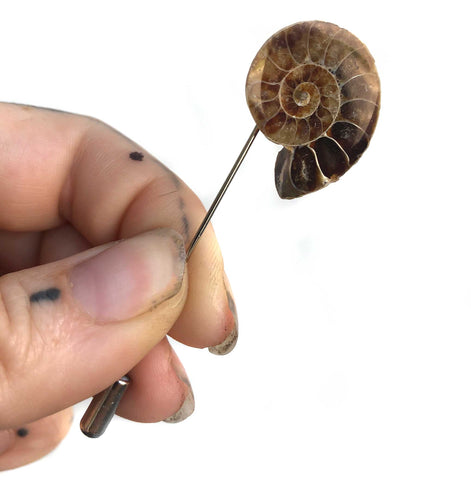 Ammonite Lapel Pin, Fossil Stone Brooch. Stick Pin, Hat Pin, Alternative Boutonniere