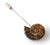 Ammonite Lapel Pin, Fossil Stone Brooch. Stick Pin, Hat Pin, Alternative Boutonniere
