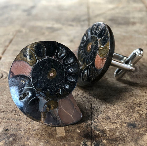 Black Ammonite Fossil Cufflinks, Rare Stone Cuff Links