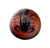 Real Insect Magnets: Butterfly, Scorpion and Green Chafer Beetle - Round Resin Magnet