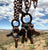 Coyote Vertebrae Pendant - Electroformed Copper