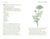 Herbalism: Plants and Potions That Heal, by Adrian White. Hardcover Book