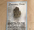 Michigan Mitten Petoskey Stone Magnet with Souvenir Card